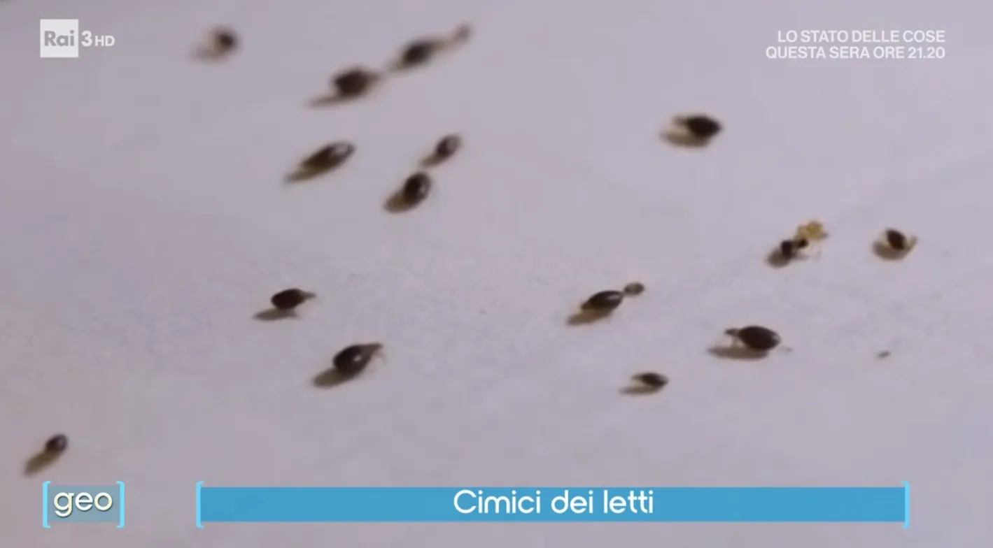 Dietro le quinte della diretta GEO 15